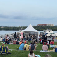 People at outdoor concert