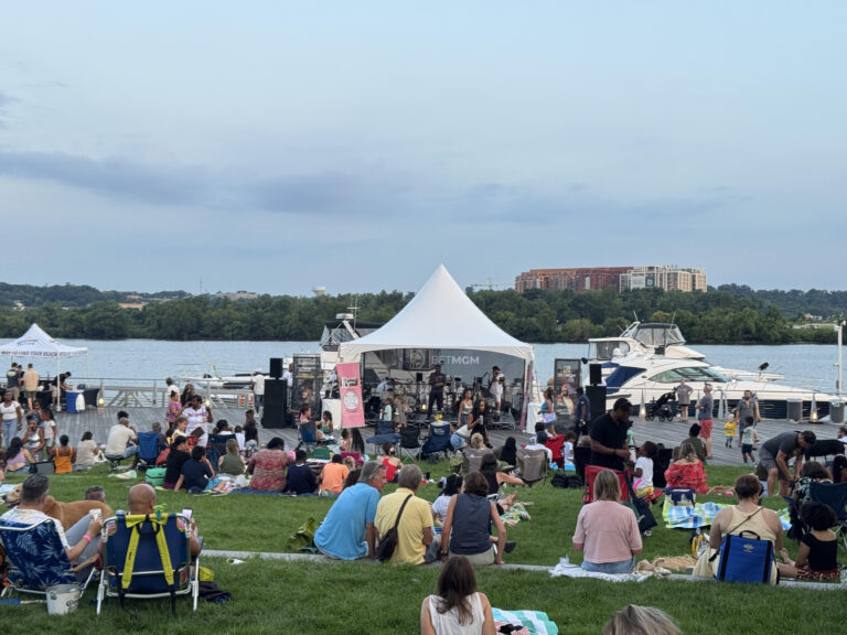 People at outdoor concert