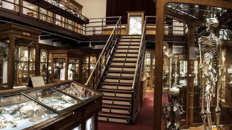 Visit the Top Three Weirdest Museums in Philly