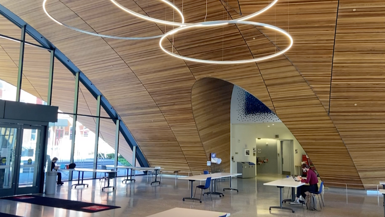 Students study at Charles Library on campus.