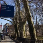 3.20.21_14thStreetMagazine_Parks_ColleenClaggett-9