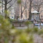 3.23.21_14thStreetMagazine_ParksAndDisease_ColleenClaggett-19-2